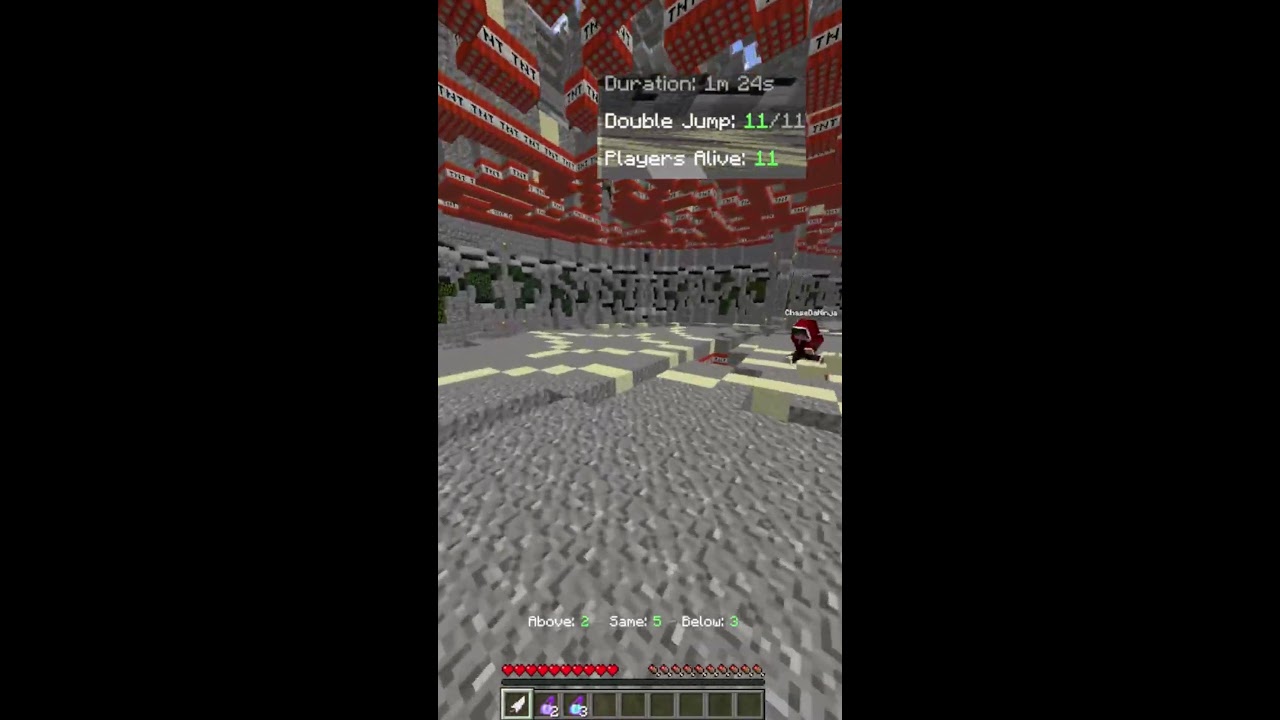 Minecraft stream
