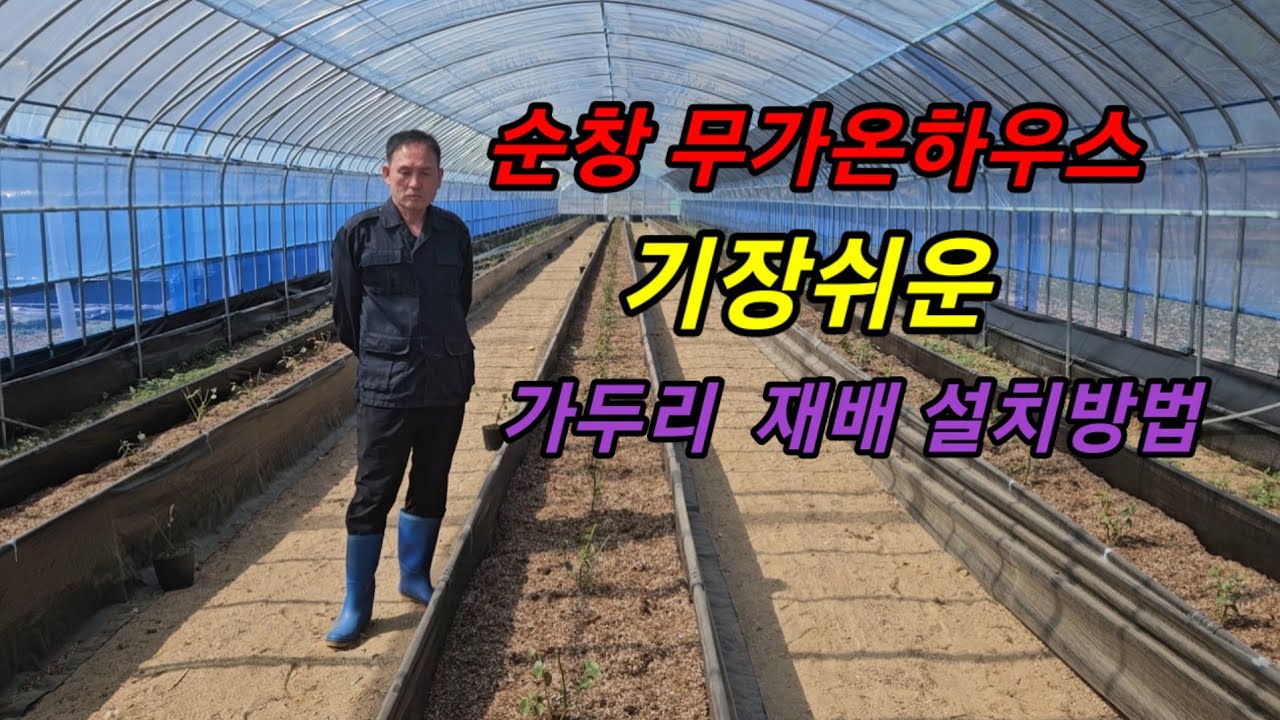 순창 무가온하우스 가두리 재배 설치방법 #메도우락 전문농원 #메도우락 묘목판매(010 8895 4161)