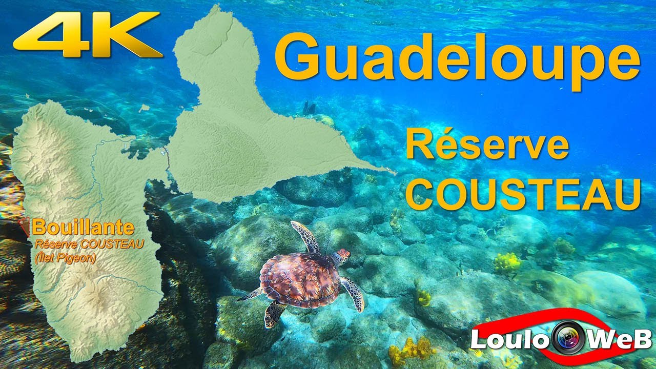 🇫🇷 🇬🇵 Guadeloupe 4K - Réserve COUSTEAU à BOUILLANTE, Tortues Marines 🐢et Poissons Tropicaux🐠