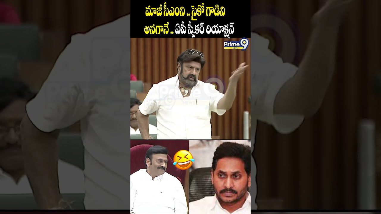 మాజీ సీఎంజగన్ ..సైకో గాడిని అనగానే ఏపీ స్పీకర్ రియాక్షన్ Nandamuri Balakrishna Satires | Prime9 News