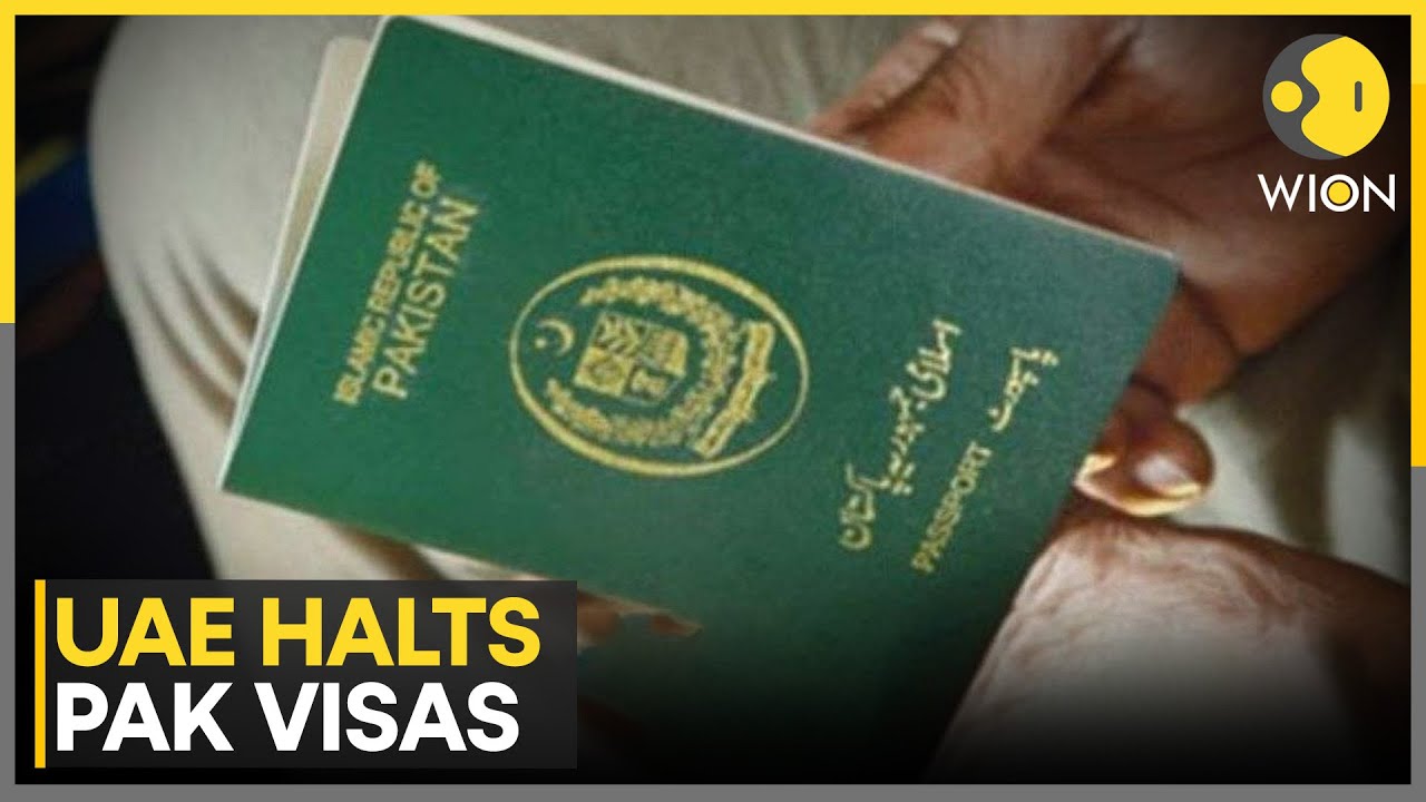 UAE Halts Visas For Pakistanis Citing 'Unlawful Activities' | WION News