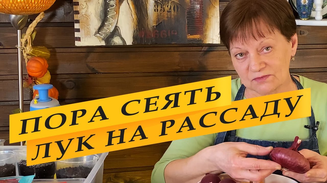 Пора сеять лук на рассаду