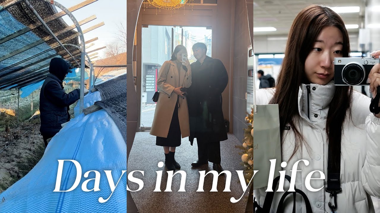 [vlog] 직장인 브이로그 | 2025년 연말 브이로그 | 오즈모 포켓3, 캐논 V1, 후지필름 X-E5, 소니 ZV-E10M2로 담아본 일상 모음집