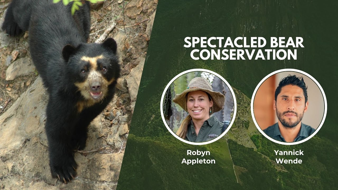 Protecting the Spectacled Bears of Peru | Wildlife Conservation Expo