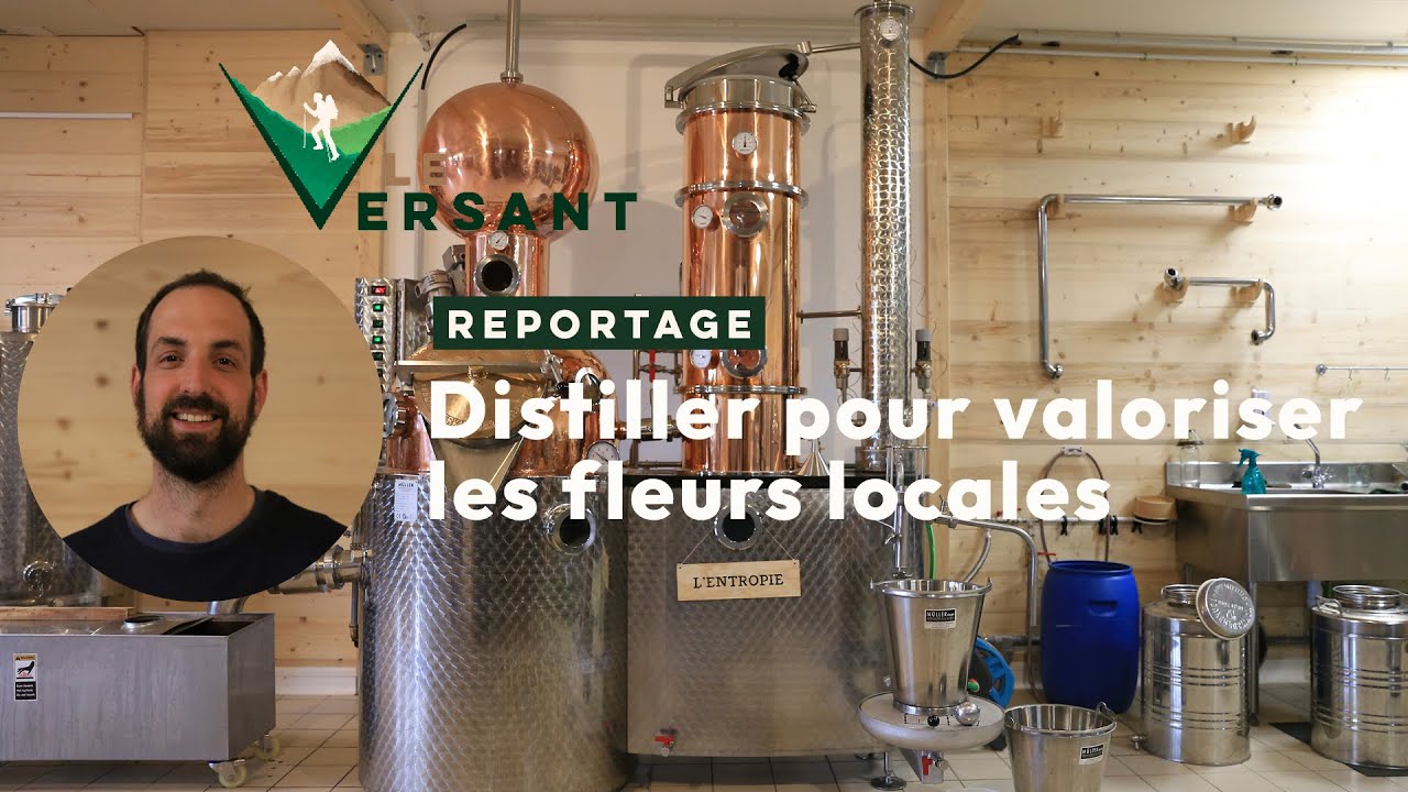 Distiller pour valoriser les fleurs sauvages [LE VERSANT MEDIA] - Vidéo