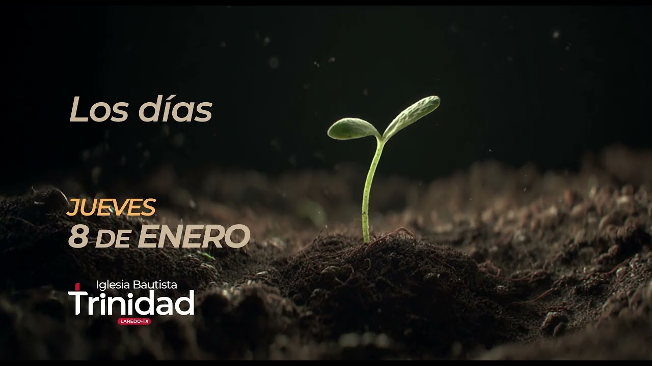 LOS DÍAS