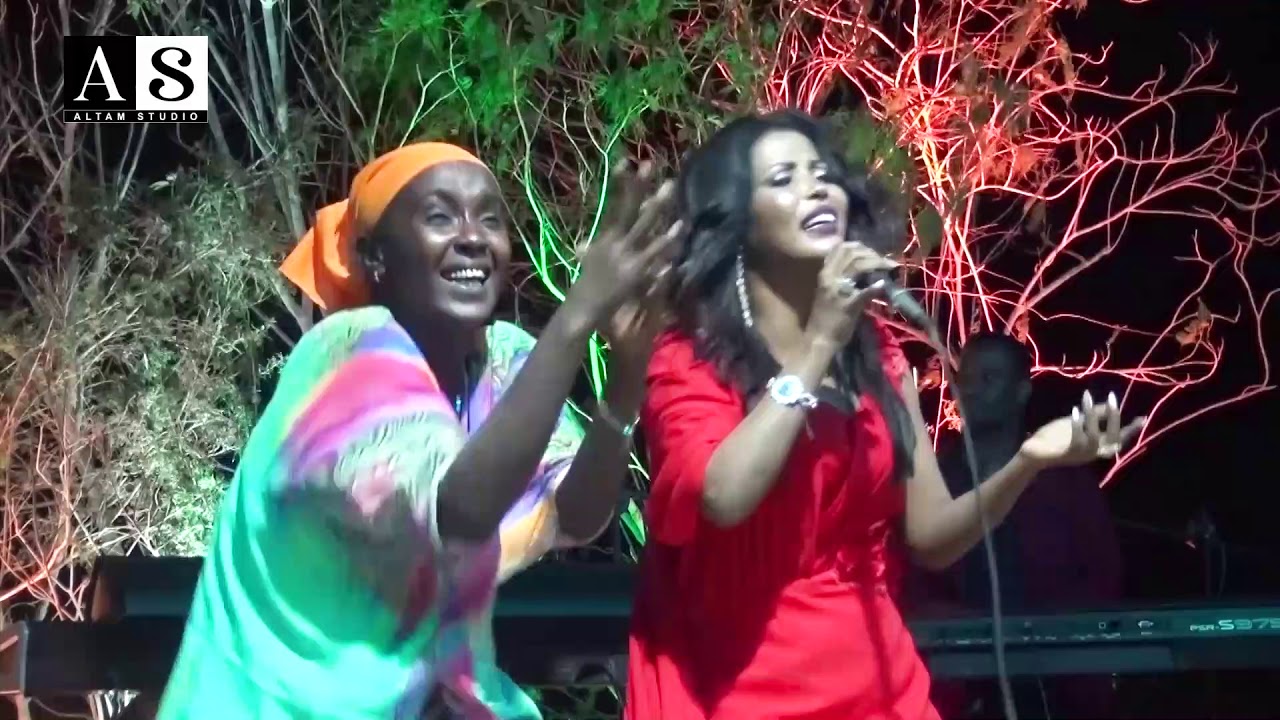 003 AFAR Group DJIBOUTI Valentine's Day 14 February  2019   عيد الحب وأجمل صور الحب