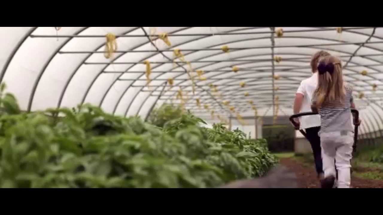 A Love For Food: The Story Behind Daylesford