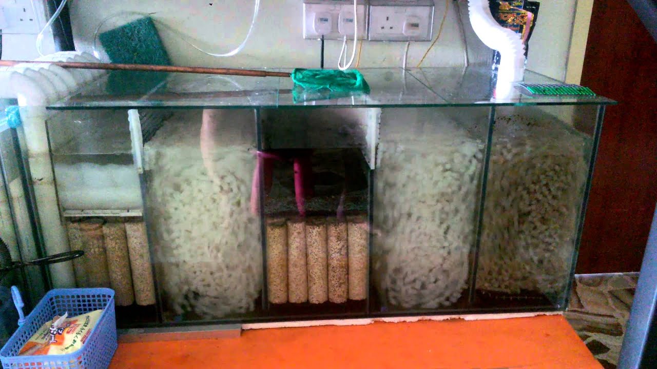 sump with k1 setup.mp4