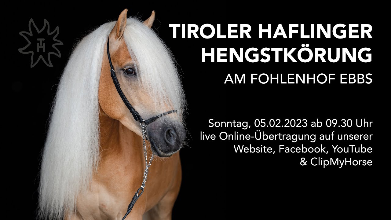 Teil 2 | Tiroler Haflinger Hengstkörung 2023 | 05.02.2023 | Fohlenhof Ebbs