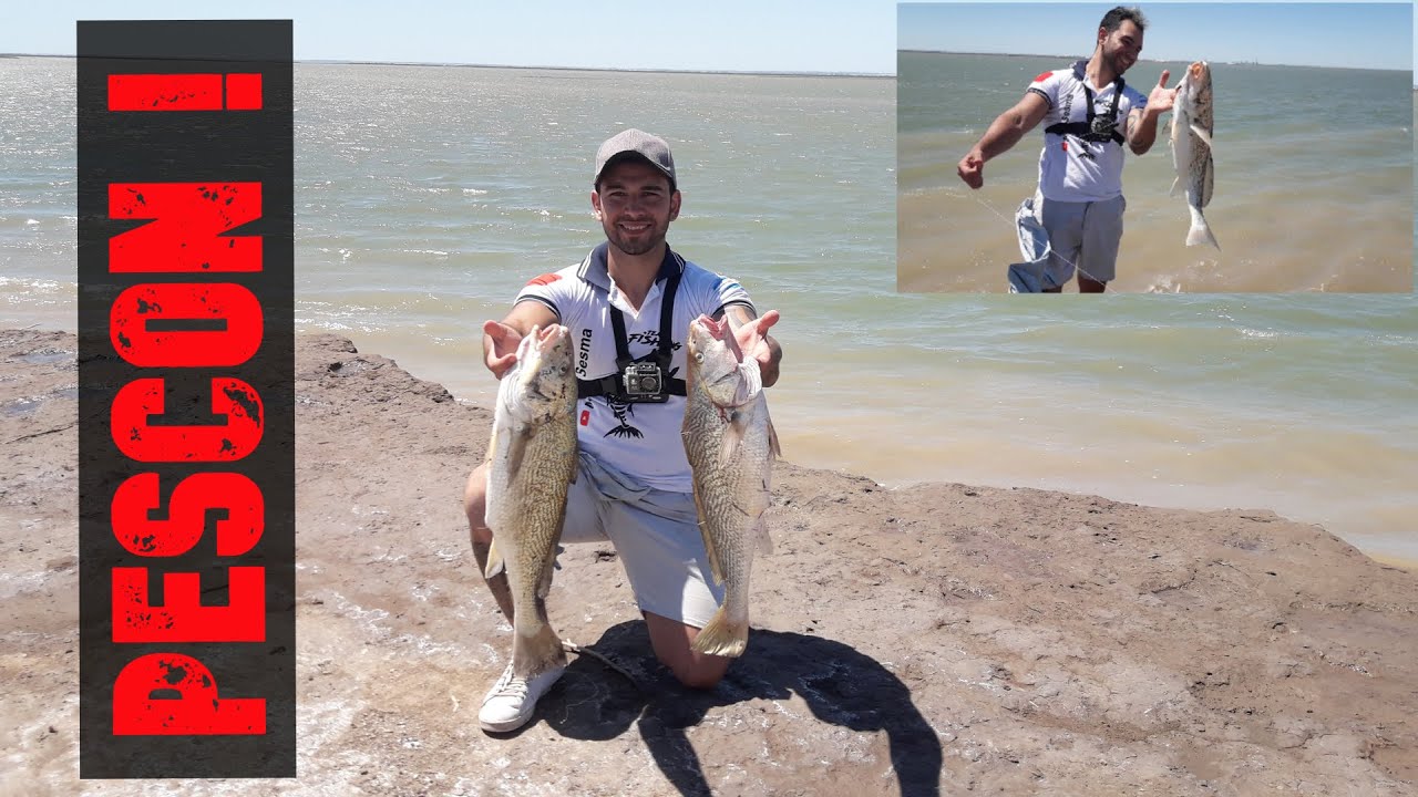 ☞ PESCA DE CORVINAS DE COSTA EN 