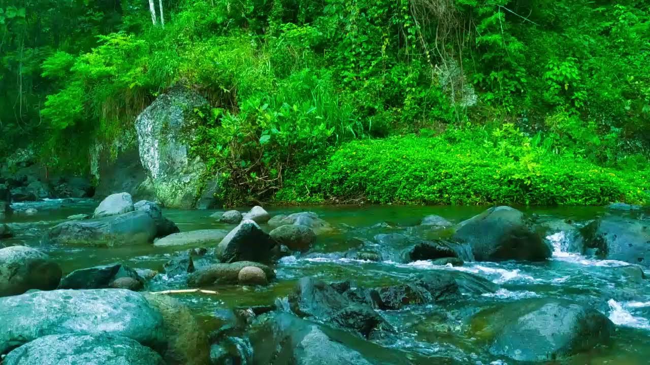 Relaxing Sounds For Sleeping - Tranquil River - Forest Scene For Meditation & Relaxation