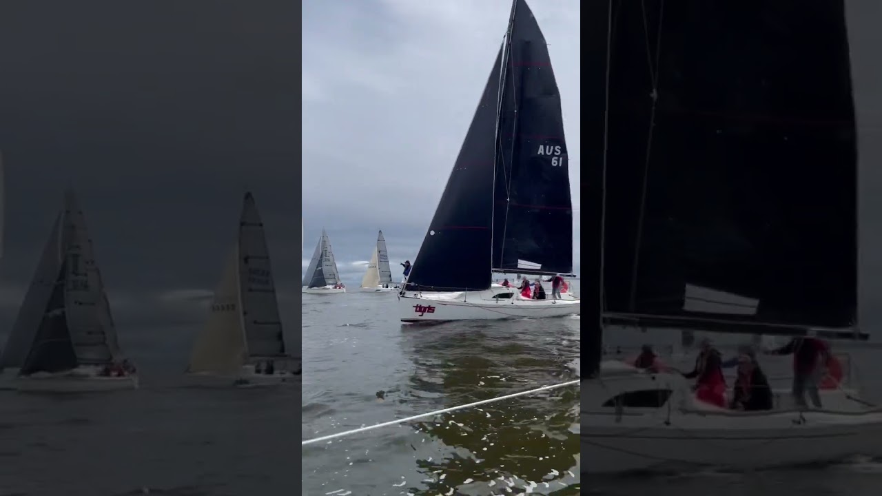 The race is on! 