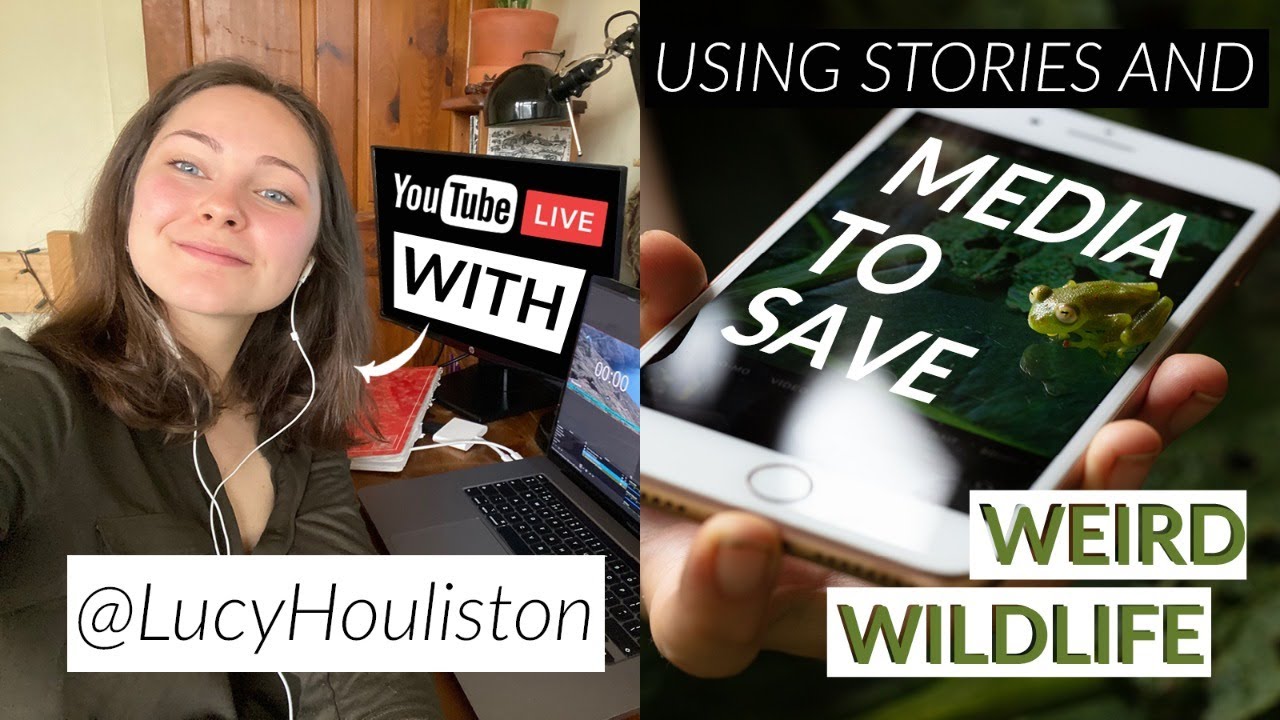Creative conservation: Using stories and media to save weird wildlife