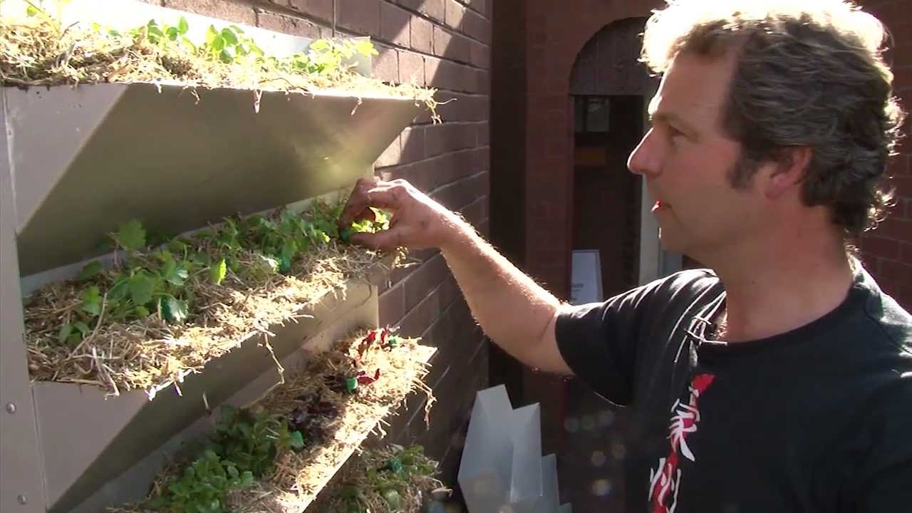 At Barrett House, food is climbing up the walls! (Vertical Garden installation video)