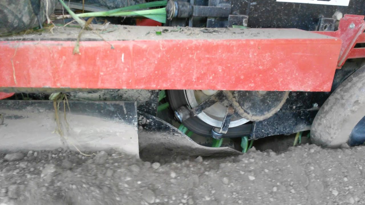 Porree setzen Gregoire Besson Plantar