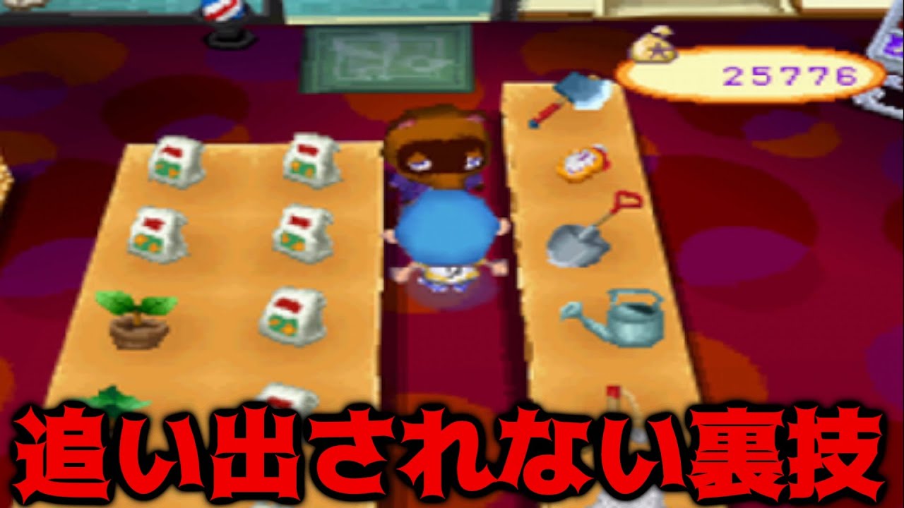 【おい森】一生たぬきデパートから追い出されない裏技がヤバすぎた【PART31】