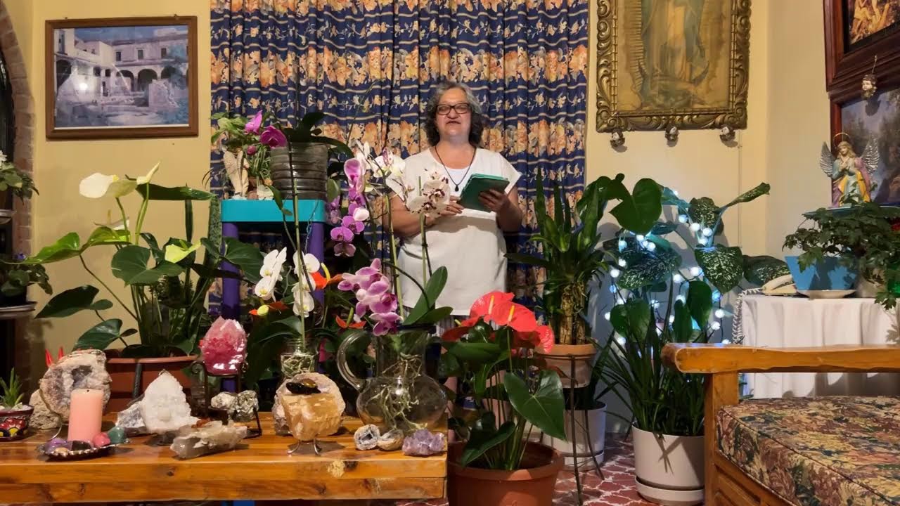 Desde que les pongo ESTO a mis ORQUÍDEAS, no paran de dar FLOR y sin PLAGAS