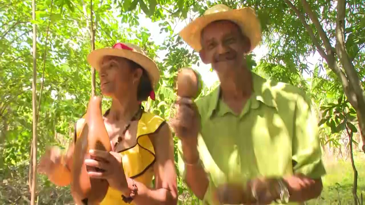 Ra&iacute;ces Soneras