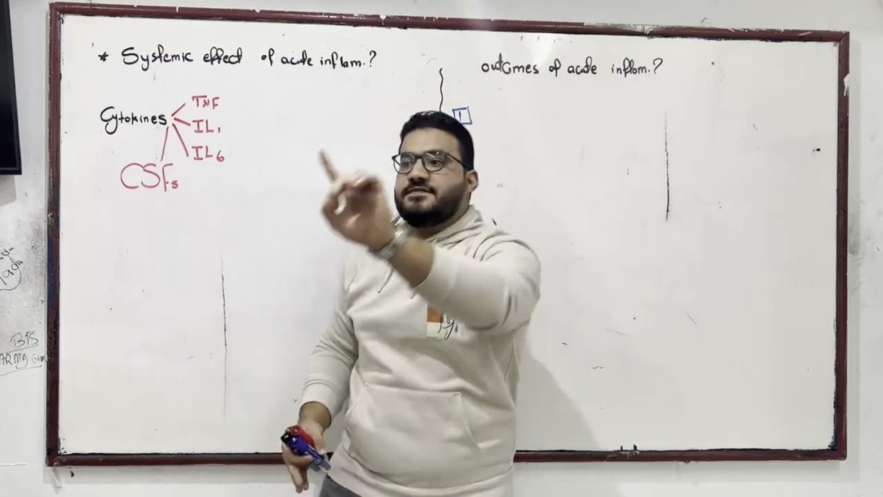 Inflammation 3 - Kasr Al-Ainy