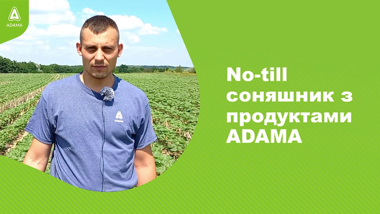 #Агроподорож ADAMA. No till соняшник з продуктами ADAMA.