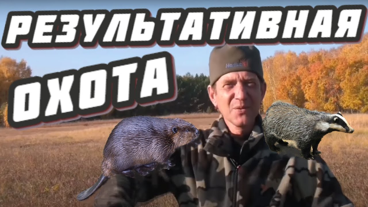 капкан бриджер проходной установка охота на барсука приманка тако ловля бобров приманка бивер крик