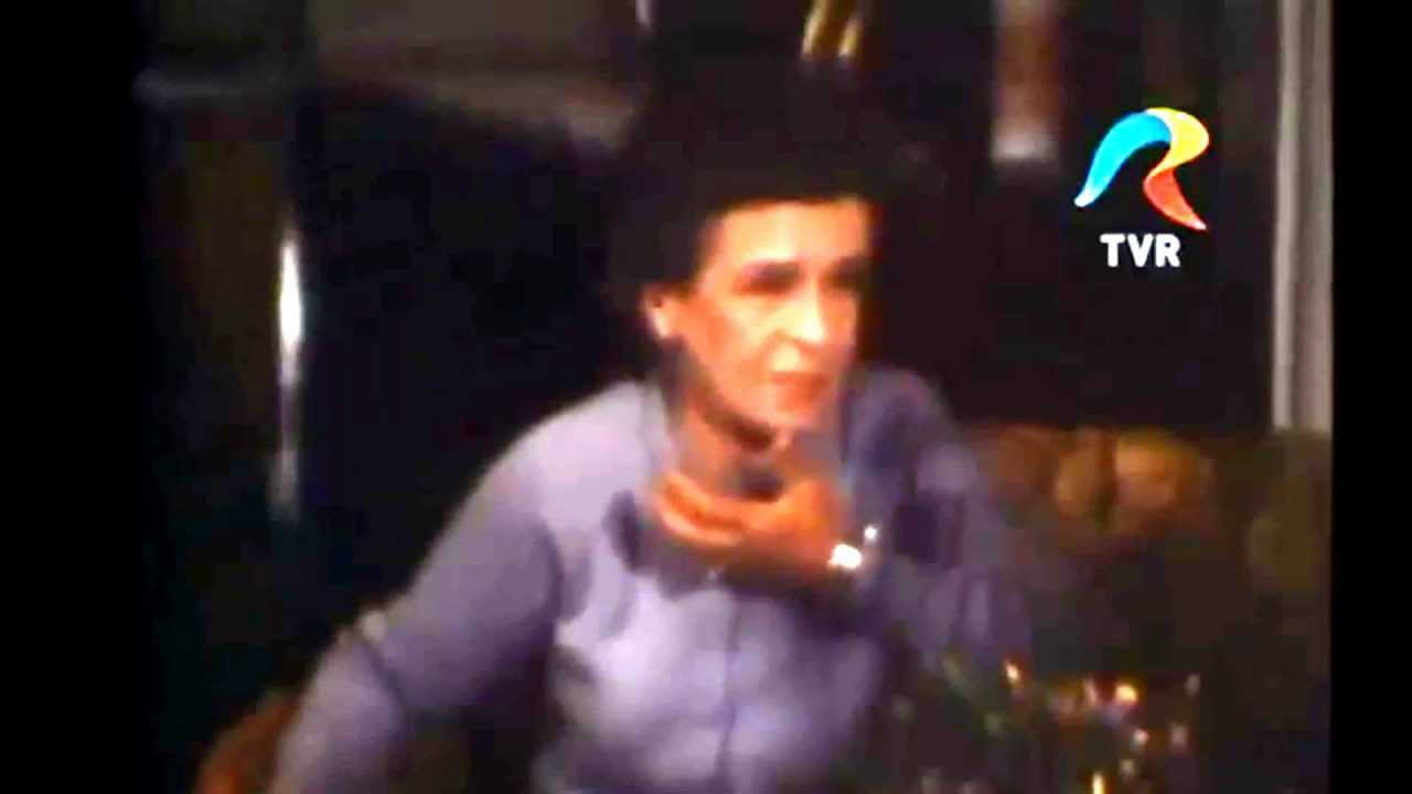 Ioana Radu - Interviu (Marioara Murărescu, 1987)