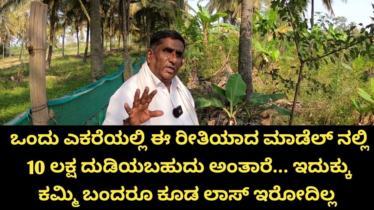 ಒಂದು ಎಕರೆಯಲ್ಲಿ ತೆಂಗಿನ ಮರಗಳ ಜೊತೆ 20 ಬೆಳೆಗಳನ್ನು ಈ ರೀತಿಯಾಗಿ ಬೆಳೆದರೆ ವರ್ಷಕ್ಕೆ ಇಷ್ಟು ಸಂಪಾದನೆ ಅಂತ ಇರುತ್ತೆ