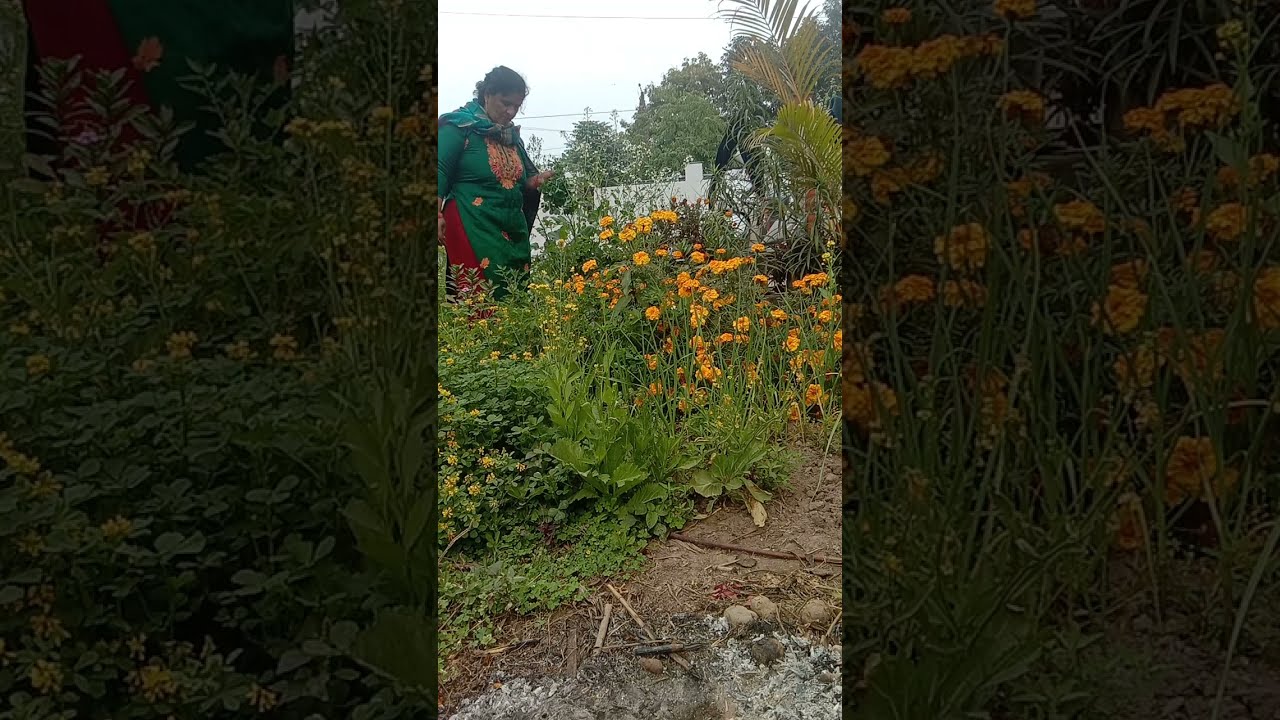 का काम शुरू 