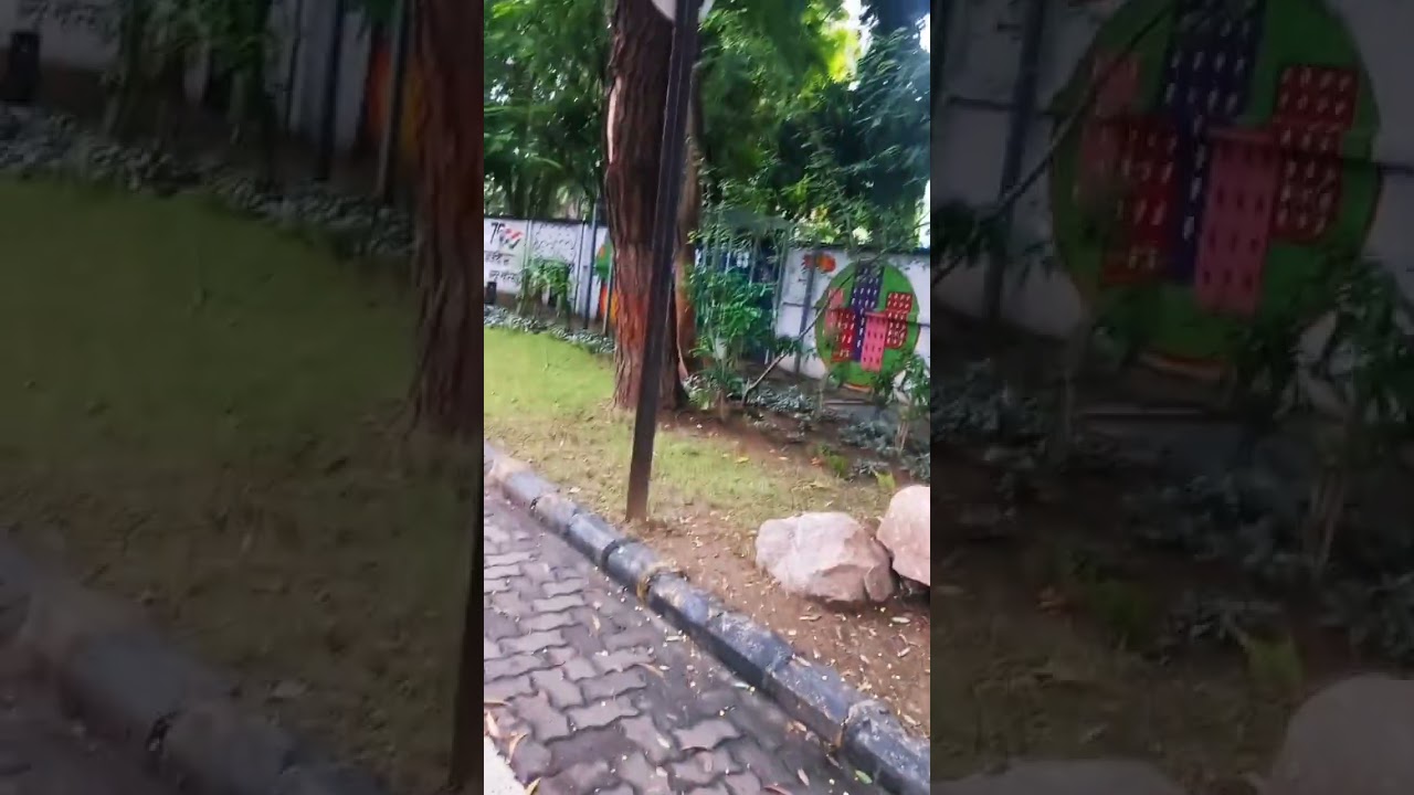 NMC _G-20 Drive// Garden & wall painting //cleanliness drive success in civil lines Nagpur//#shotts