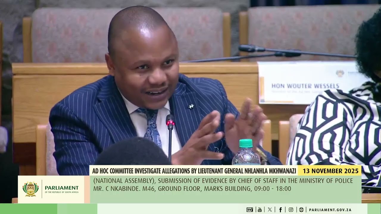 Nkabinde testimony:  Nqola also raised concerns about contradictions by Nkabinde.