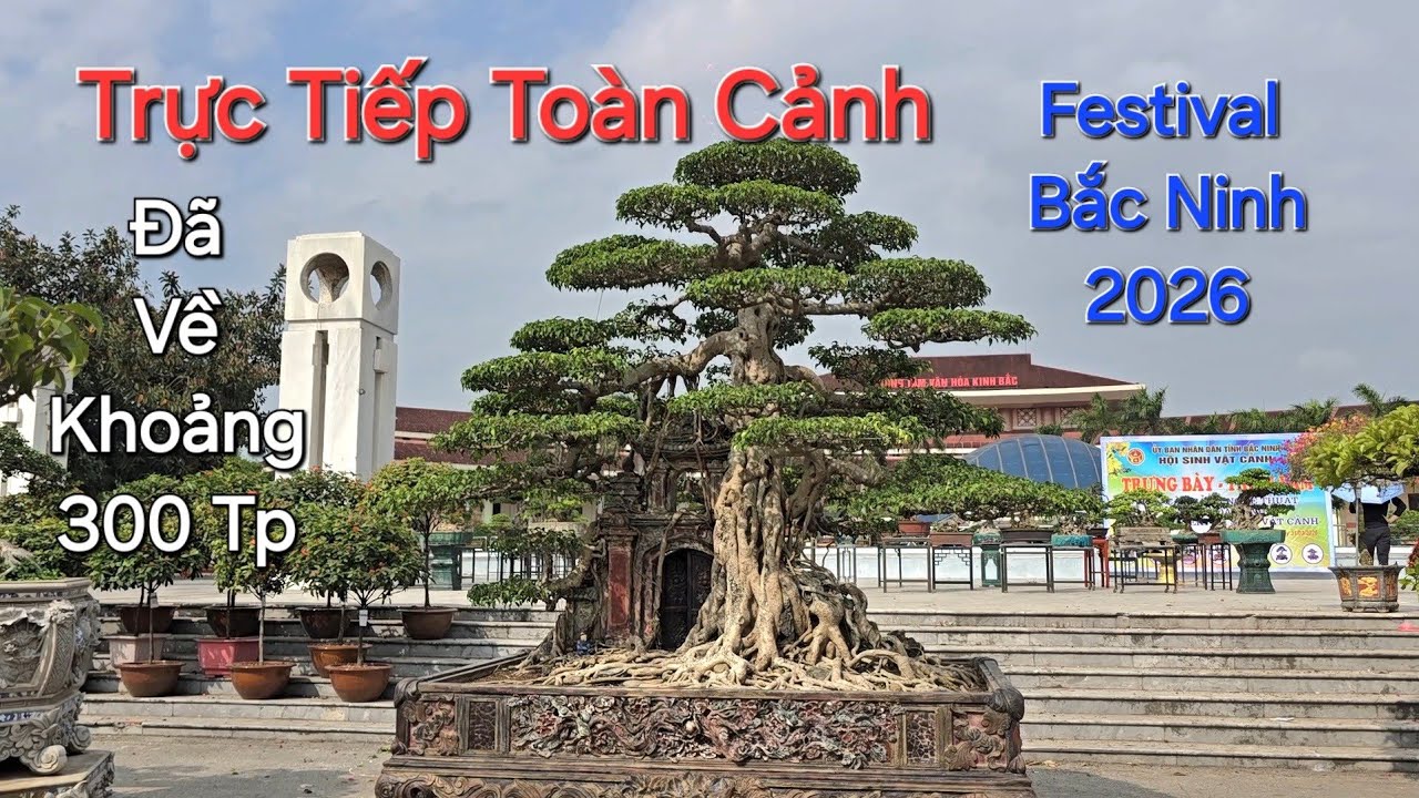 TRỰC TIẾP TOÀN CẢNH FESTIVAL BẮC NINH * Về Miền Di Sản * Cây vê XẾP HÀNG DÀI - 300 Tp đã về .