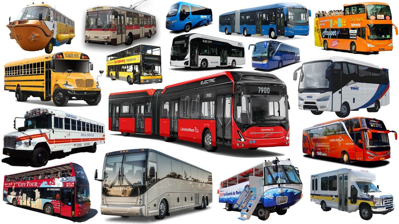 Bus Sekolah, Bus Besar, Bus Tingkat, Mini Bus, Bus Gandeng, Bus Amfibi, | Koleksi Nama Bus