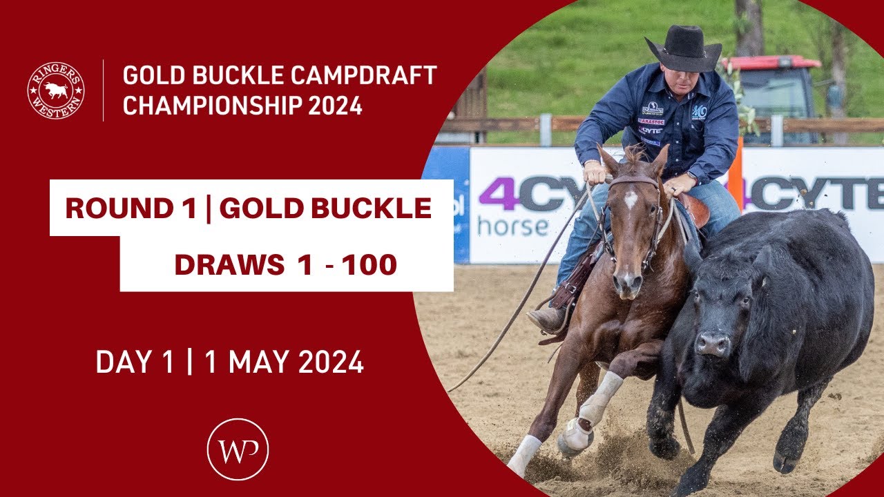 ROUND 1 | Ringers Western Gold Buckle Campdraft Championship 2024 | Draws 1 &ndash; 100