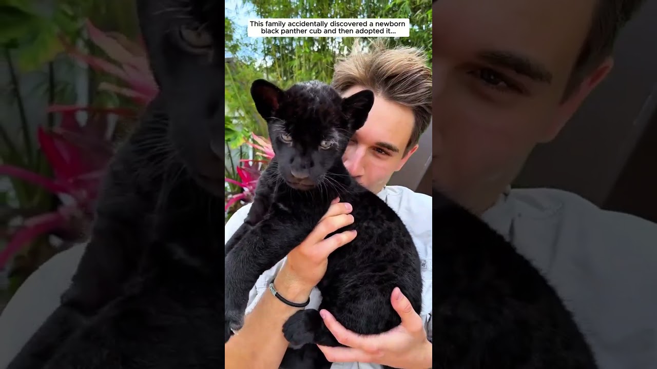 All lives are precious... #animals #rescue #heartwarming #lovestory #wildliferescue #animalrescue