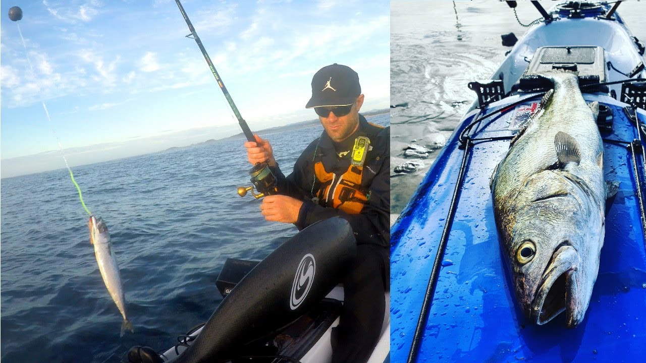 How I caught my first Jewfish / Mulloway from my kayak (With whale watching and troll cam footage)