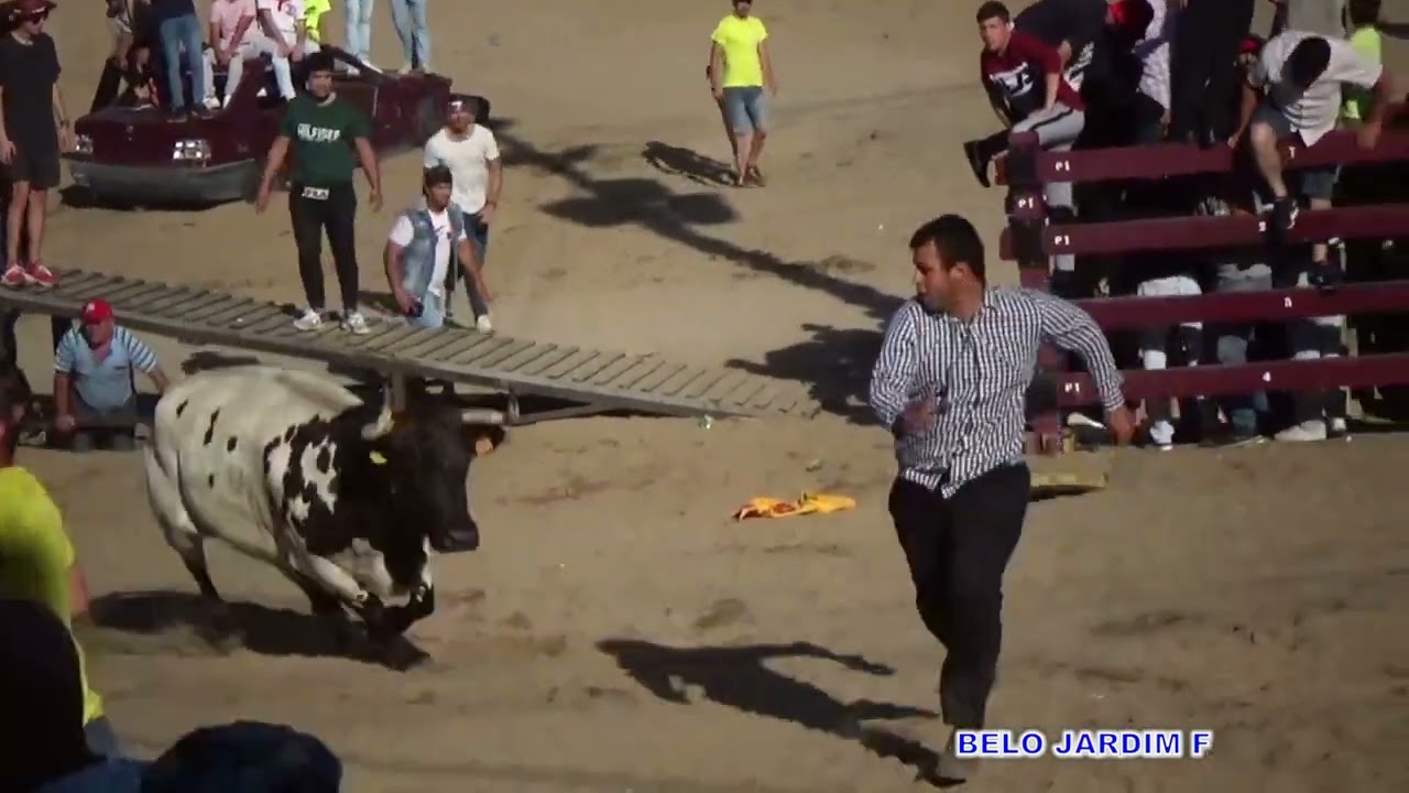 XV SEMANA TAURINA SAMORA CORREIA SEXTA VACA