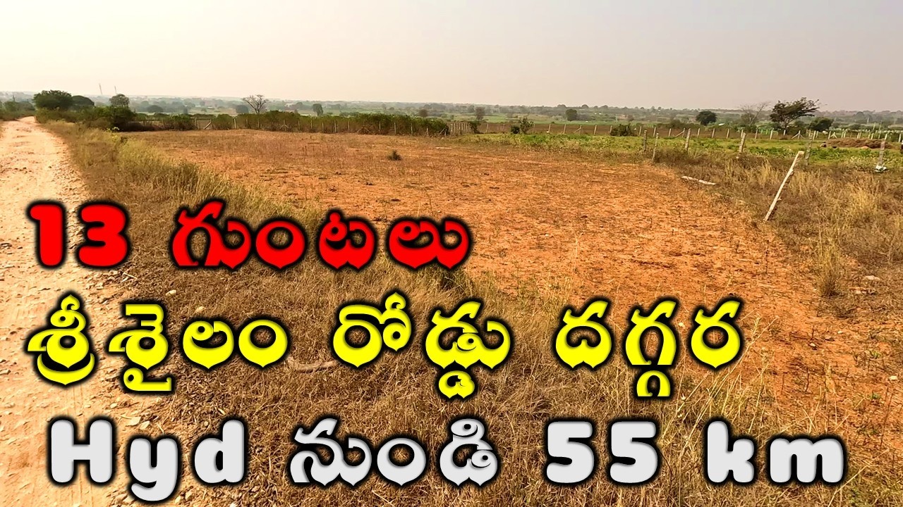 3 లక్షలు ఒక గుంట శ్రీశైలం రోడ్డు Agriculture Lands for Sale in Telangana