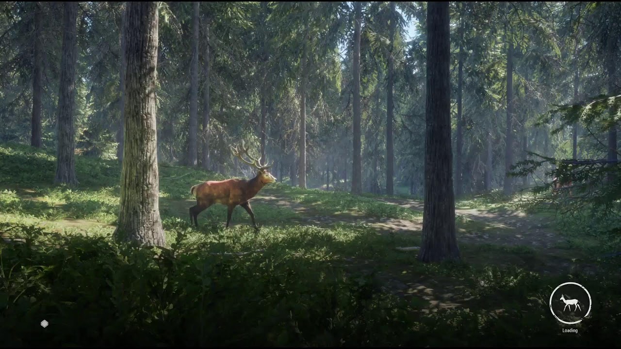Can we spawn the Great One Wild Boar on stream?🤔🐗