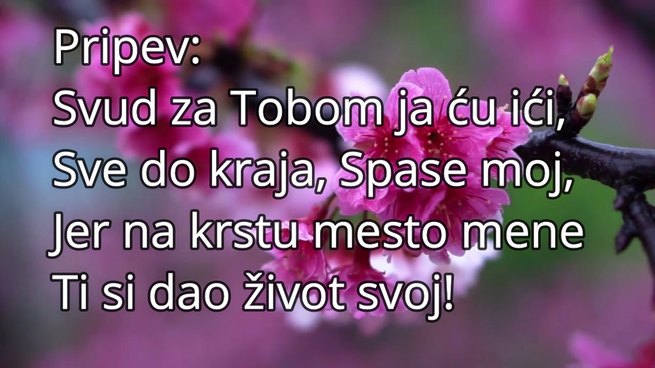 252. Da za tobom idem, Spase