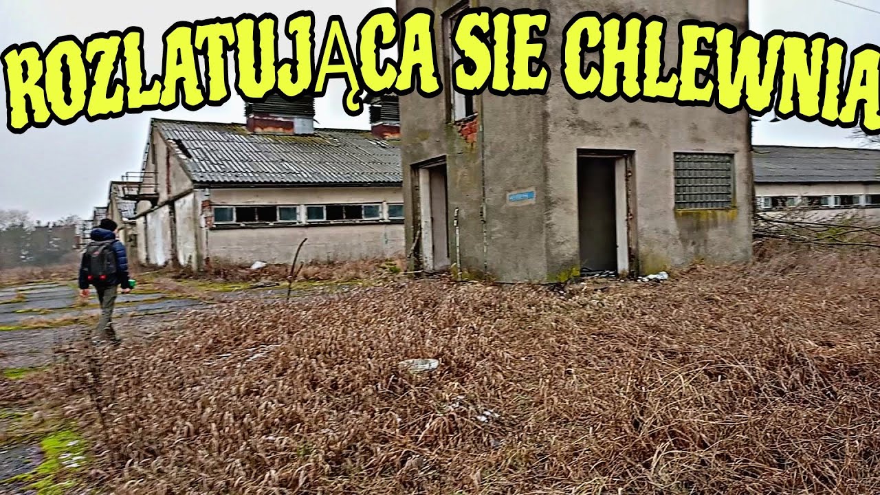 OPUSZCZONE PGR-Y  KIEDYŚ TO BYŁ PEWNIE DOBRZE ROZWIJAJĄCY SIE INTERES