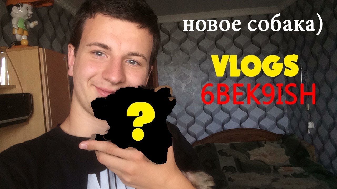 НОВЫЙ СОБАК