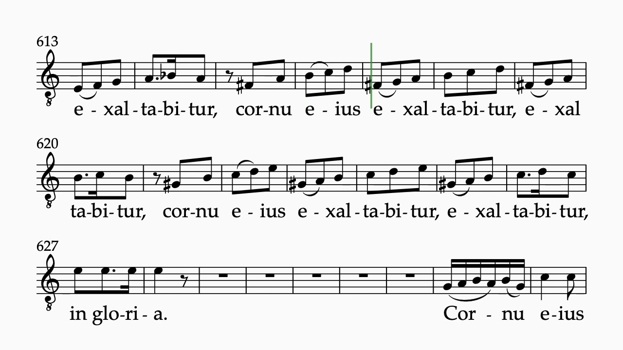 Paratum cor eius Choir II Tenor