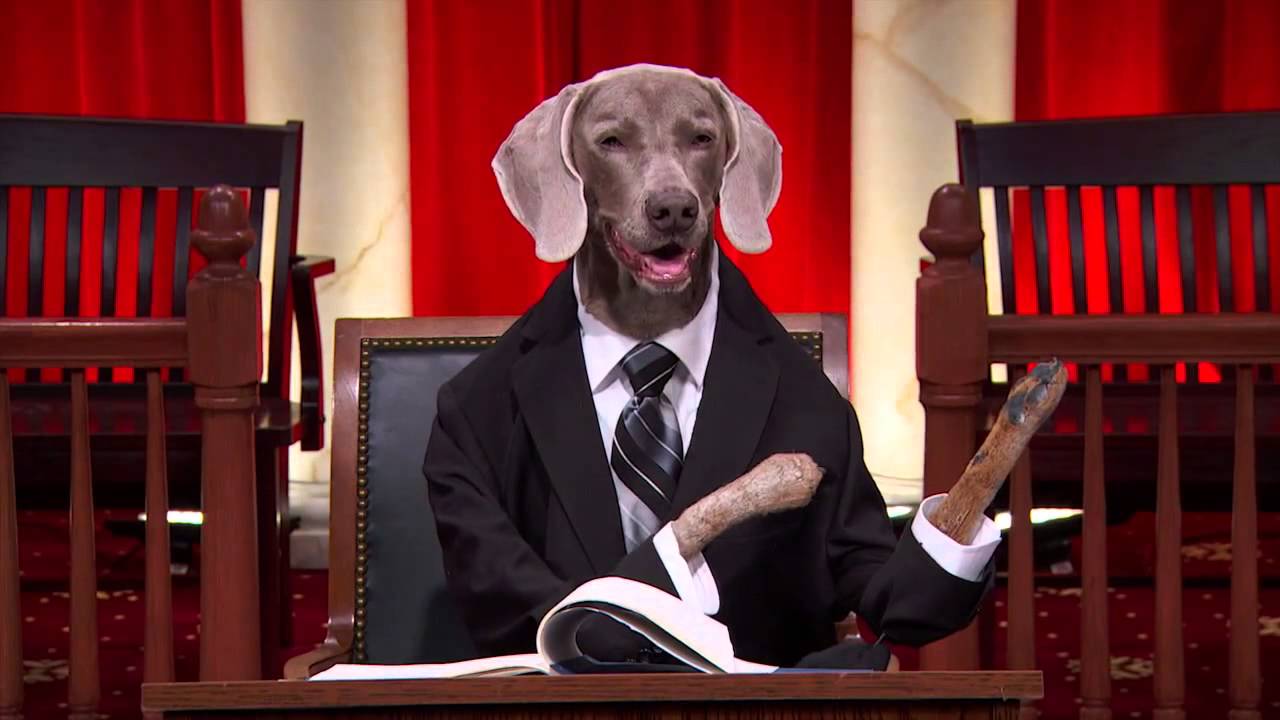 Holt vs  Hobbs: Real Animals, Fake Paws