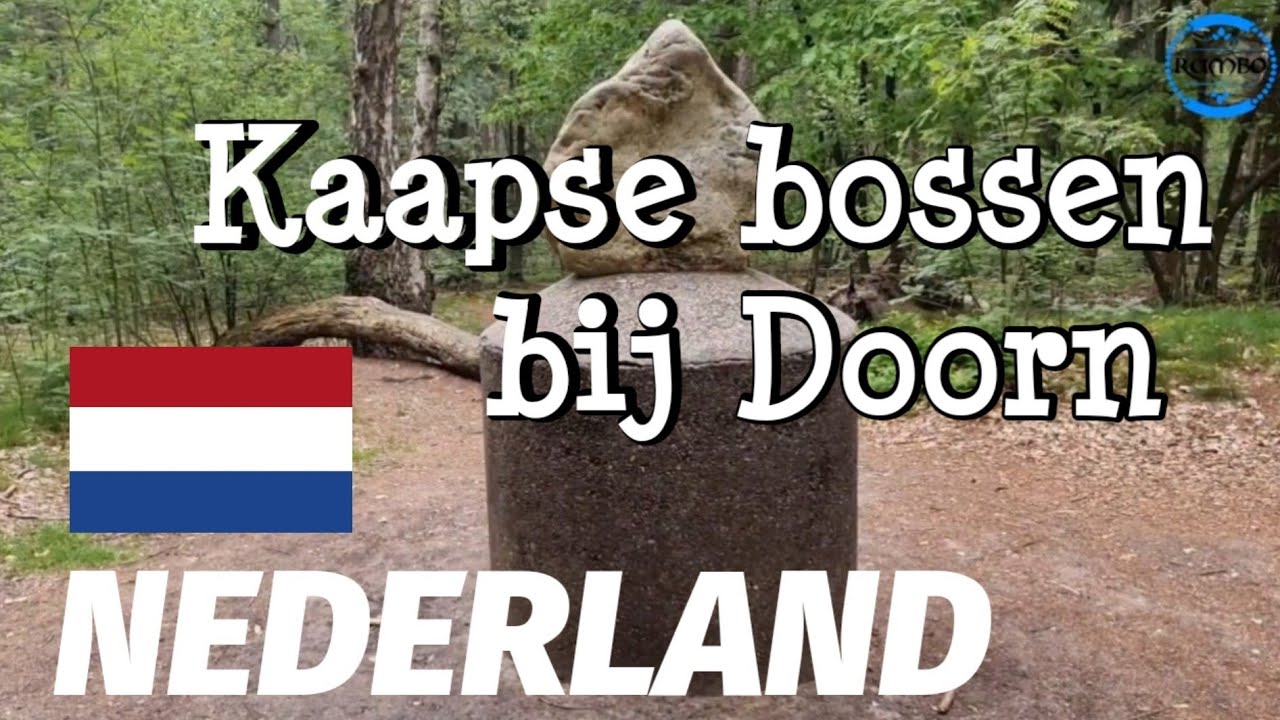 NEDERLAND De Kaapse bossen bij  Doorn