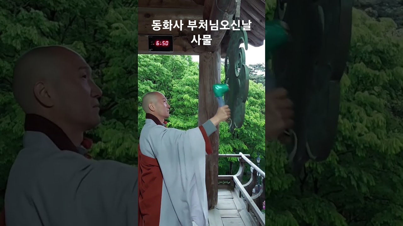 동화사 부처님오신날 사물(최용수 객원기자 촬영) #사물 #불전사물 #부처님오신날