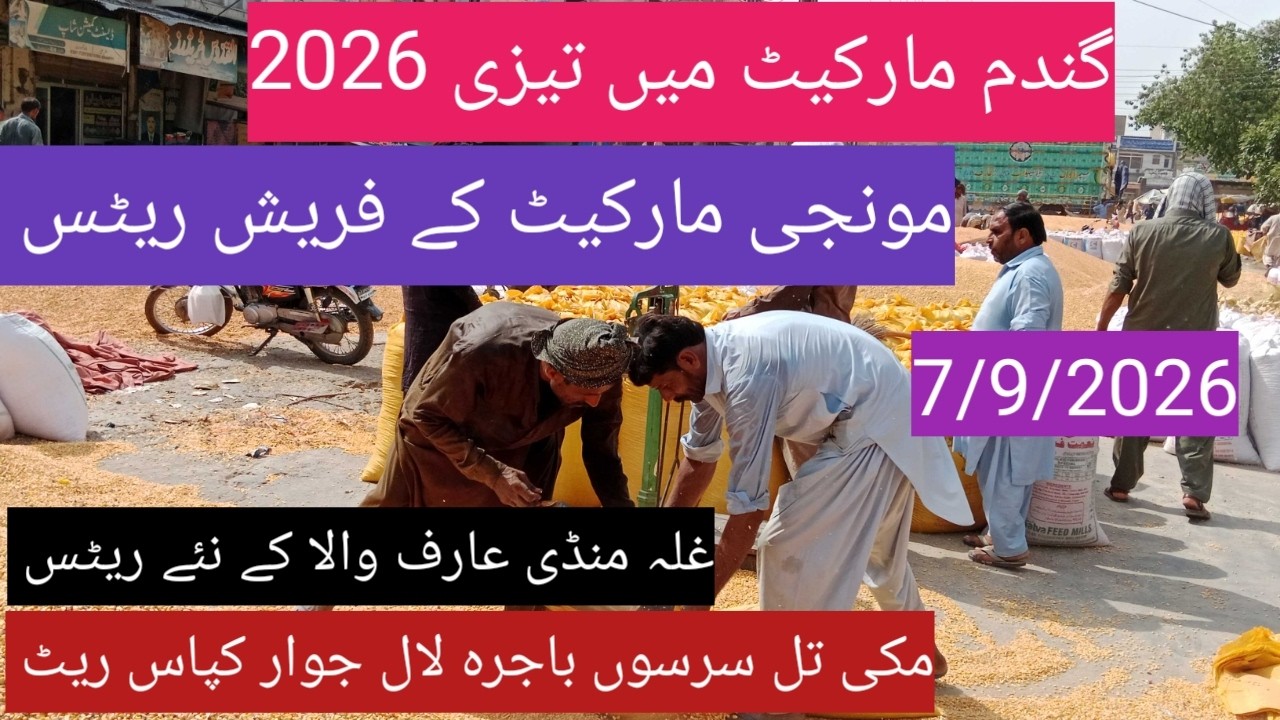dhan price today| gandam ka rate 2026| makki till sarso bajra| Ghalla Mandi Arifwala Punjab