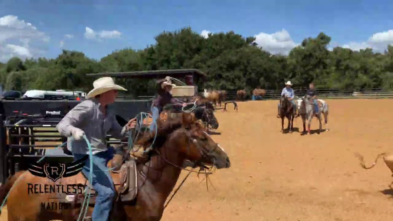 Heel Horse Position and Bridling Up with Ross Ashford