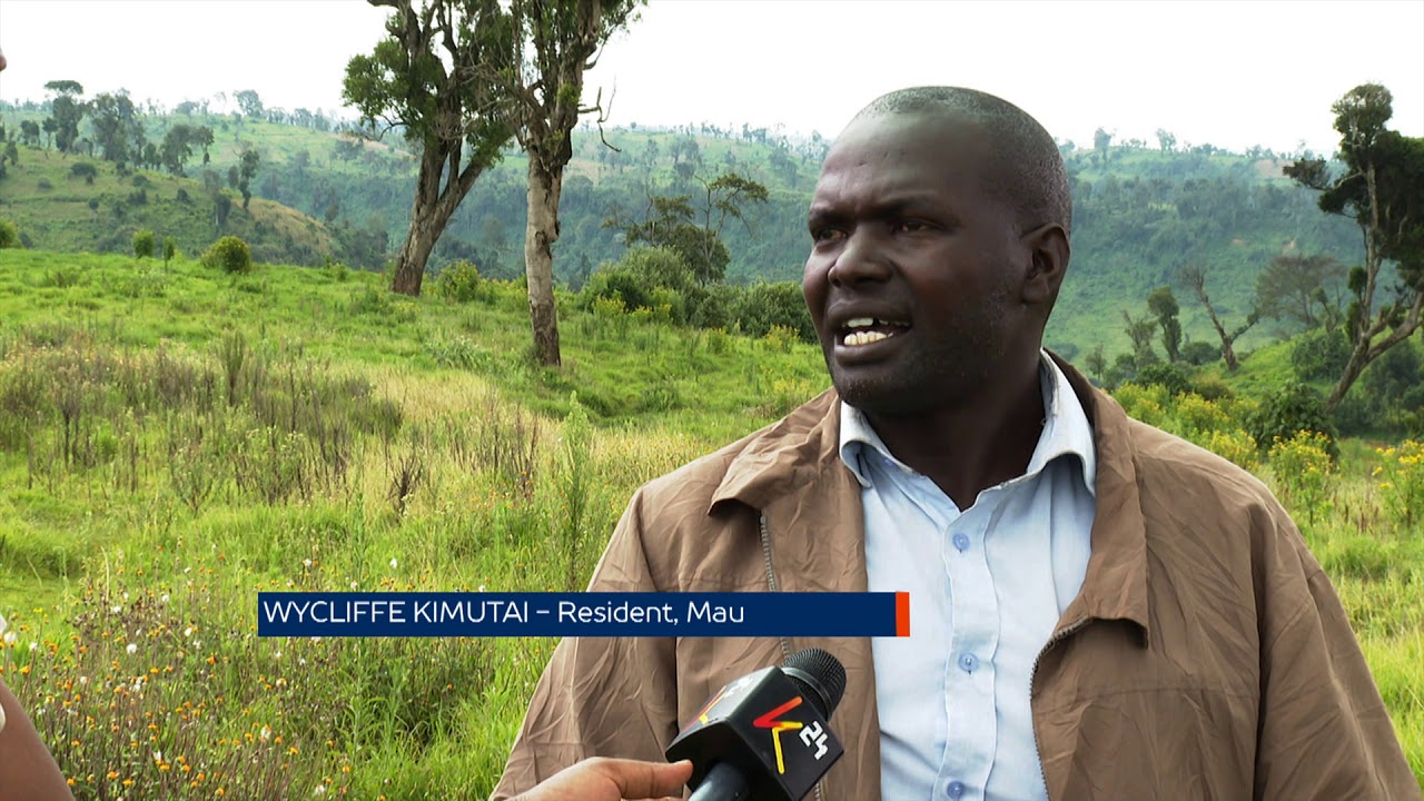 Mau Forest follow up