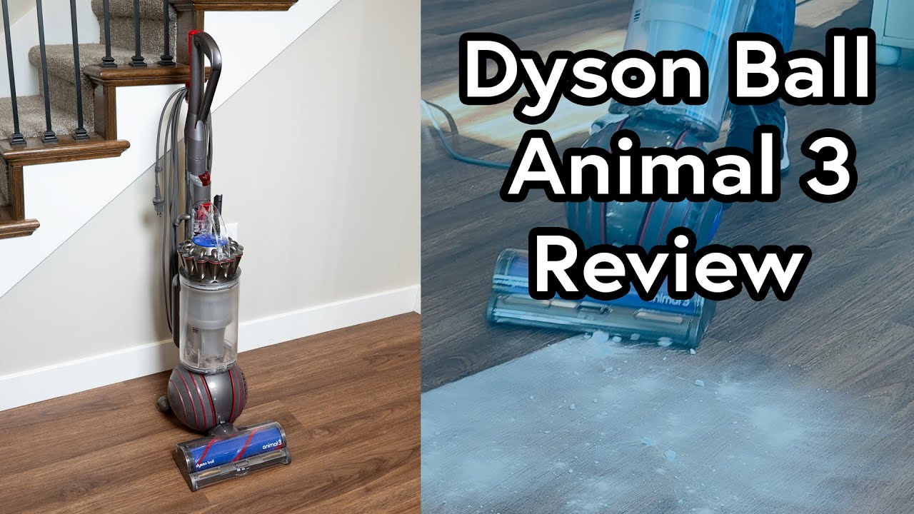 Обзор вертикального пылесоса Dyson Ball Animal 3